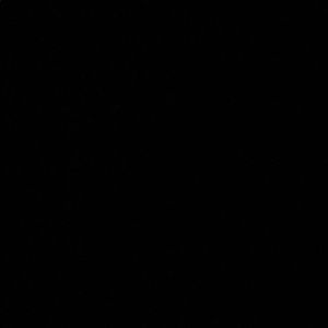 Meet your Posher, Jackson